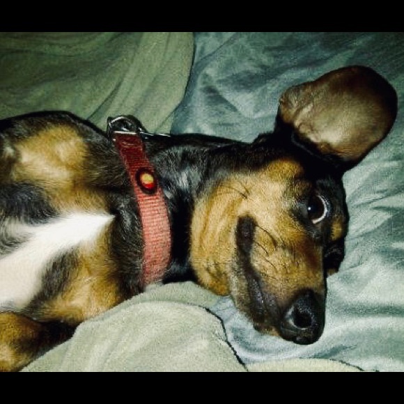 Meet your Posher, Erin & Hecate - Picture 11 of 16